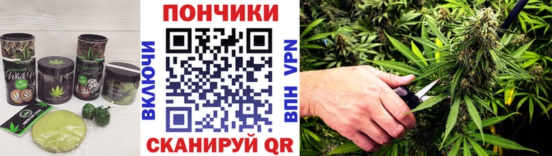 Canna-Cookies конопля  Сарапул 